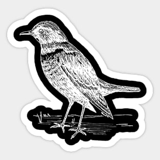 Cozy bird Sticker